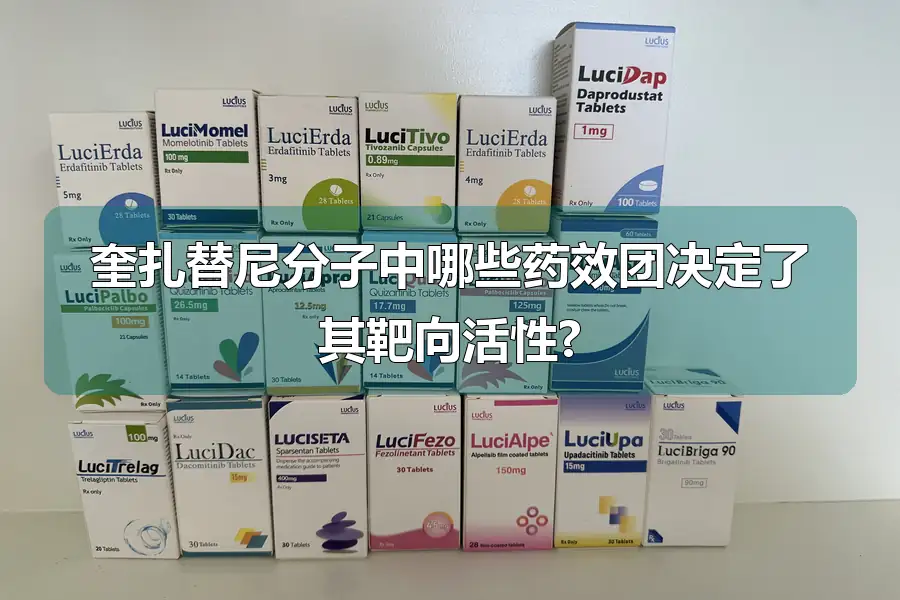 奎扎替尼分子中哪些药效团决定了其靶向活性?